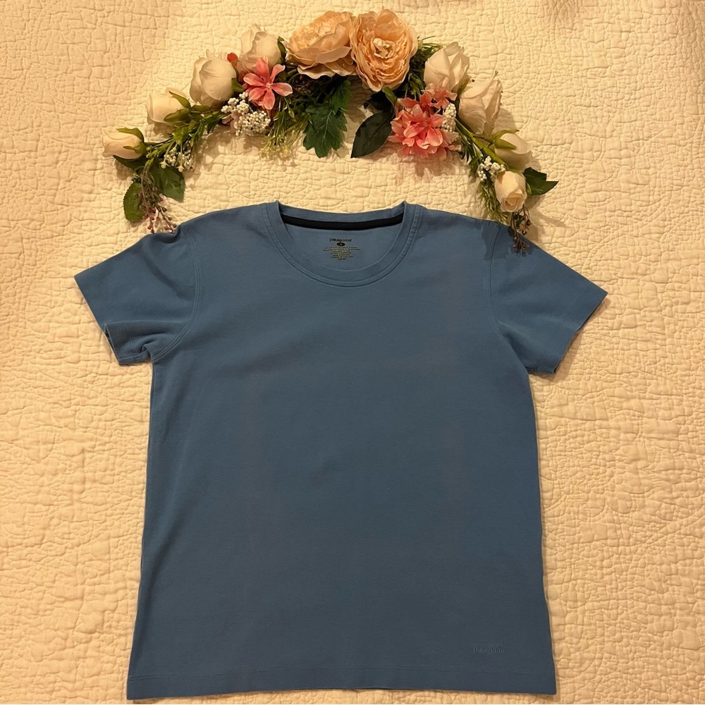 Patagonia Organic Cotton Thick Short Sleeve Tee - Blue - Picture 2 of 13